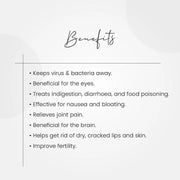 Navel Drops 15ml (Pack of 2 Bottle) - myvedobiindia