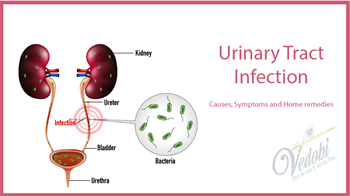 Urinary Tract Infection: Causes, Symptoms and Home remedies
