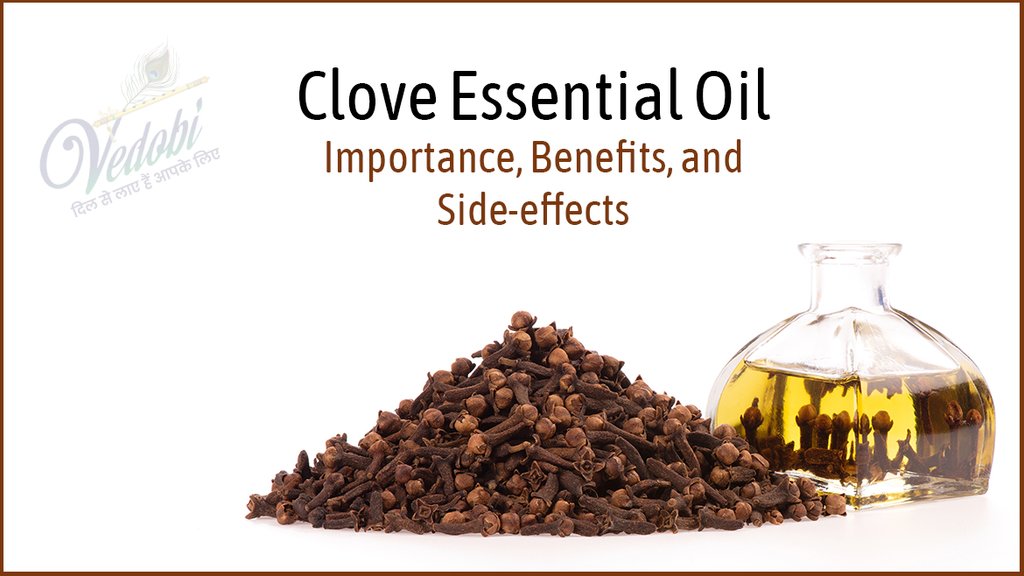 Clove Essential Oil- Importance, Benefits, and Side-effects