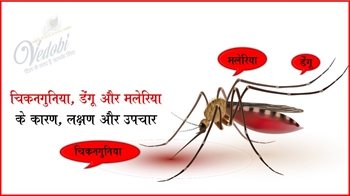 चिकनगुनिया, डेंगू और मलेरिया के कारण, लक्षण और उपचार