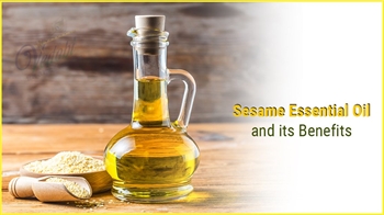 Sesame Essential Oil and its Benefits