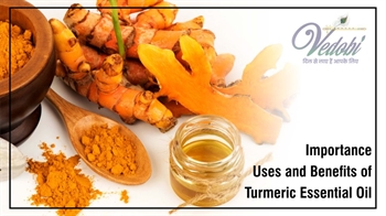Importance, Uses and Benefits of Turmeric Essential Oil