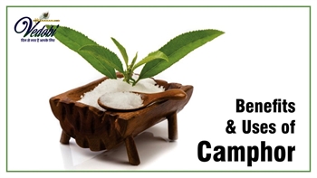 Benefits & Uses of Camphor