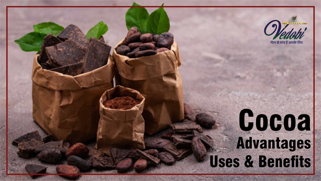 Cocoa- Advantages, Uses Benefits