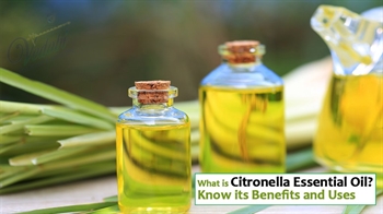 What is Citronella Essential Oil? Know its Benefits and Uses.