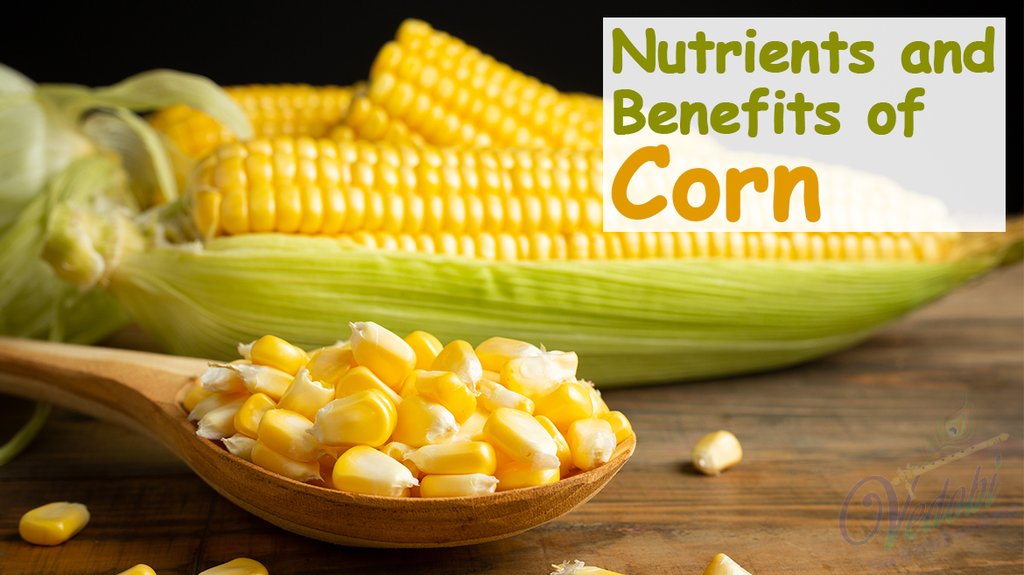 Nutrients and Benefits of Corn