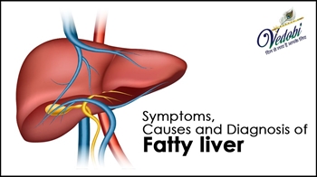 Symptoms, Causes and Diagnosis of Fatty liver