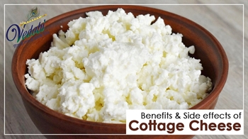 Benefits & Side effects of Cottage Cheese