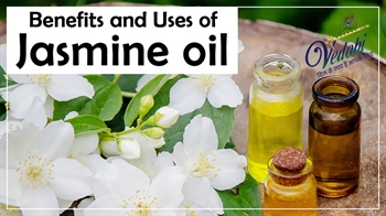 Benefits and Uses of Jasmine oil