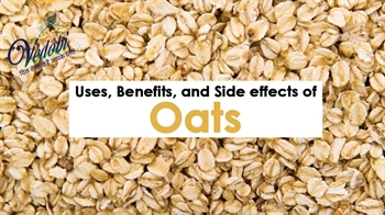 Uses, Benefits, and Side effects of Oats