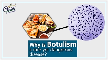 Why is Botulism a rare yet dangerous disease?