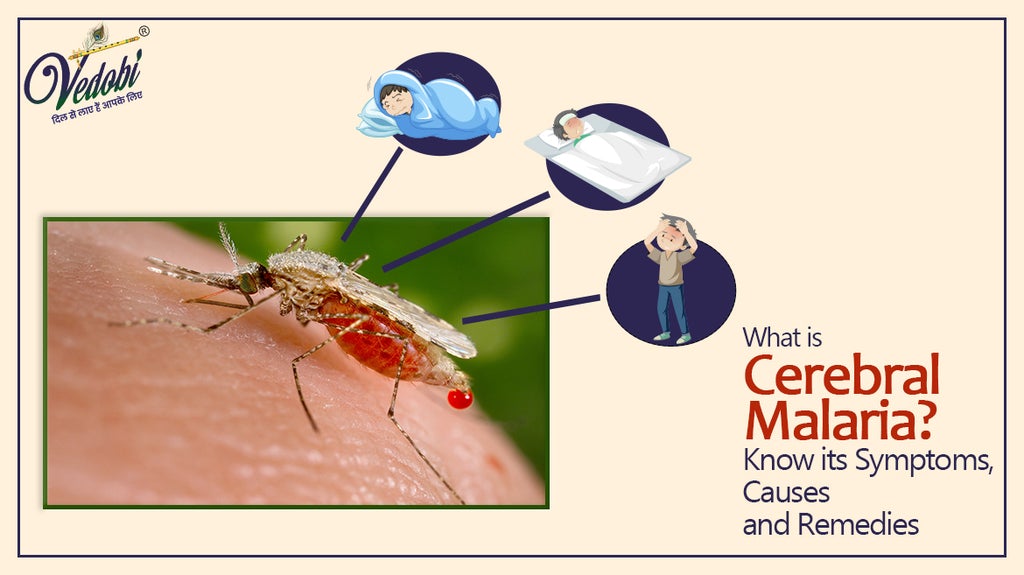 What is Cerebral Malaria? Know its Symptoms, Causes and Remedies