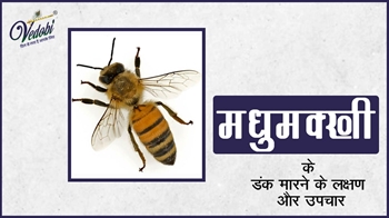 मधुमक्खी के डंक मारने के लक्षण और उपचार