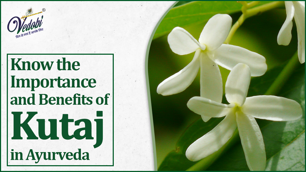 Know the Importance and Benefits of Kutaj in Ayurveda