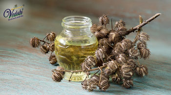 Castor Oil: Uses and Benefits