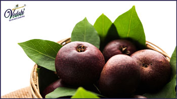 Know the Medicinal Importance, Benefits and Uses of Kokum