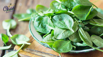 Know the Benefits and Side effects of Spinach