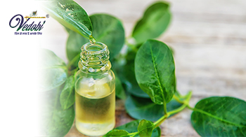 Tea Tree Oil: Benefits, Uses and Side Effects