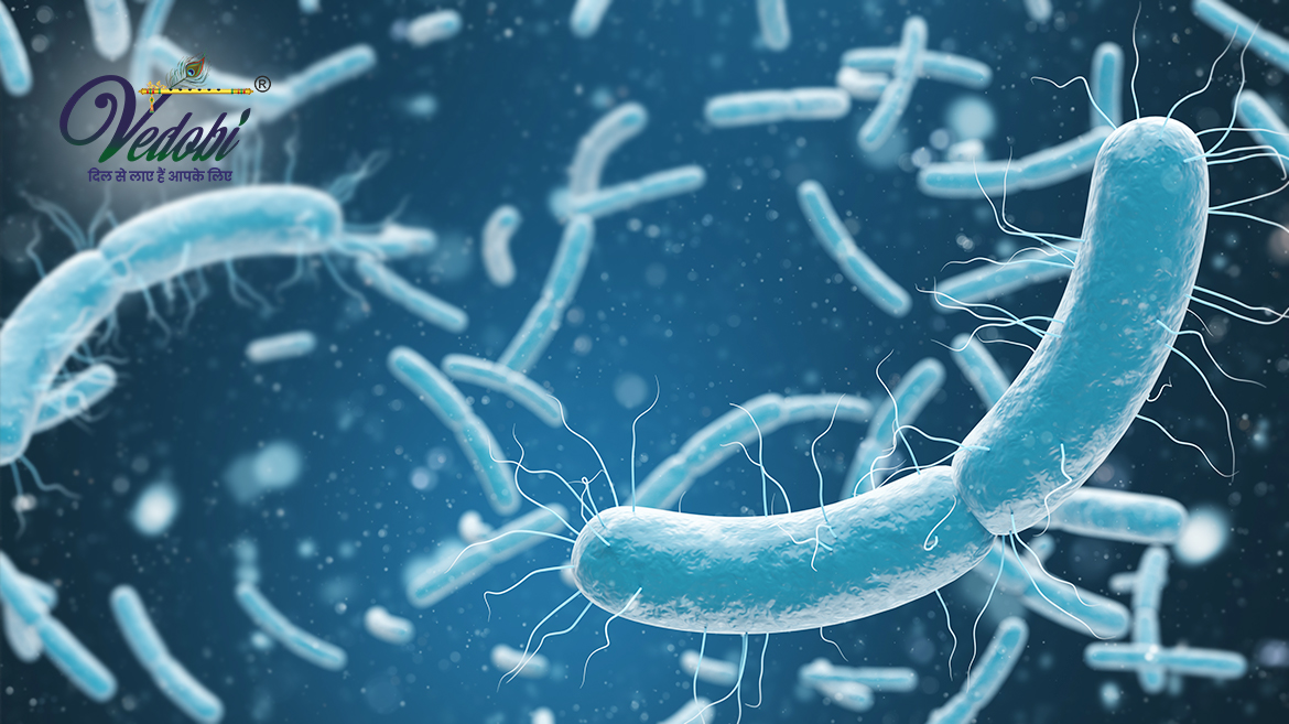 What is E. coli infection and how does it spread?