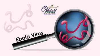 What is Ebola virus and how does it spread?